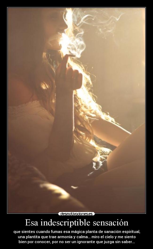 Esa indescriptible sensación - que sientes cuando fumas esa mágica planta de sanación espiritual,
una plantita que trae armonía y calma... miro el cielo y me siento
bien por conocer, por no ser un ignorante que juzga sin saber...