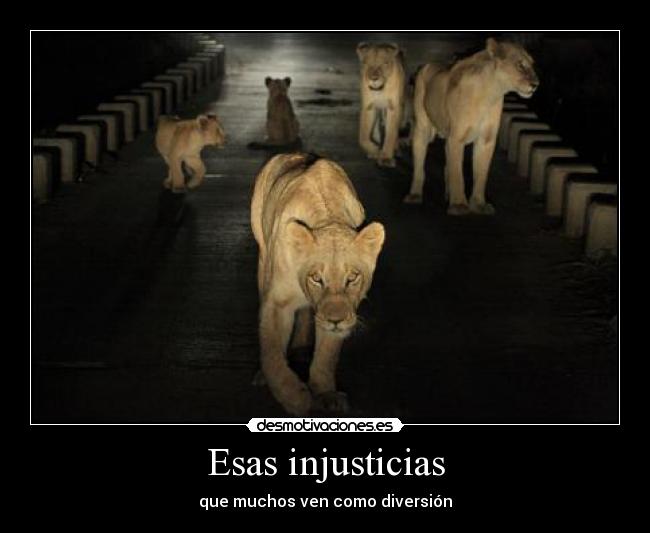Esas injusticias - 