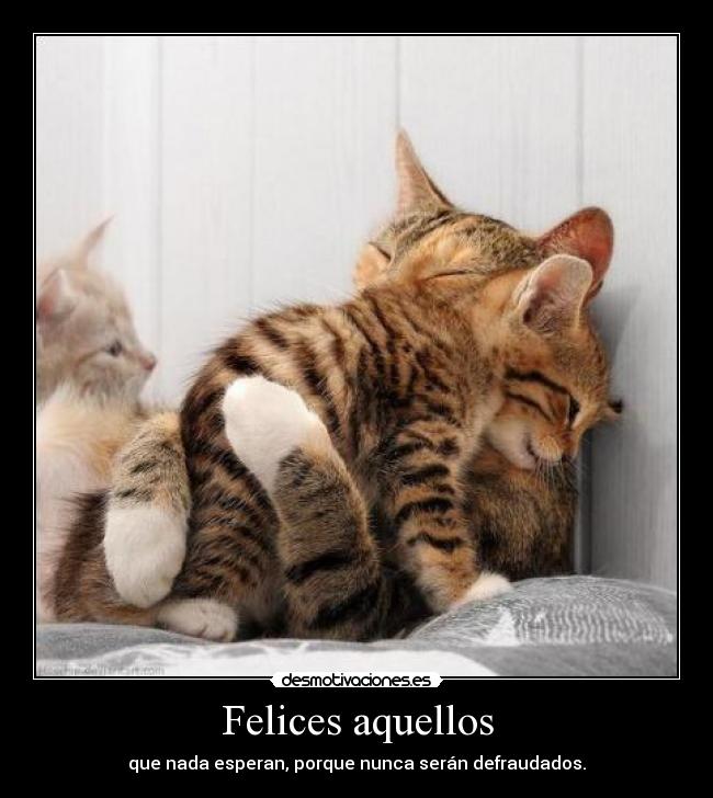 Felices aquellos -