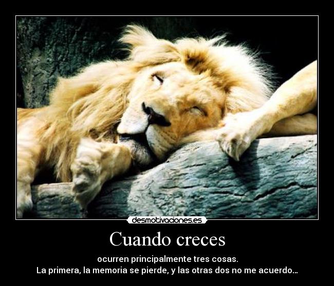 carteles leon desmotivaciones