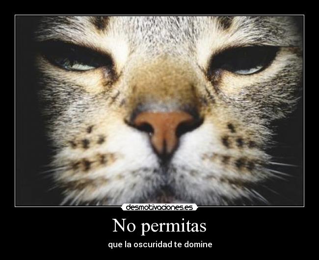 No permitas -