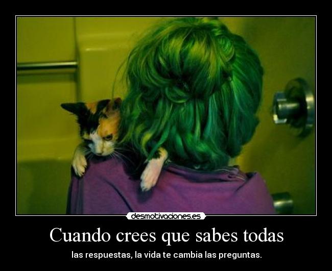 carteles honestly this life shit desmotivaciones