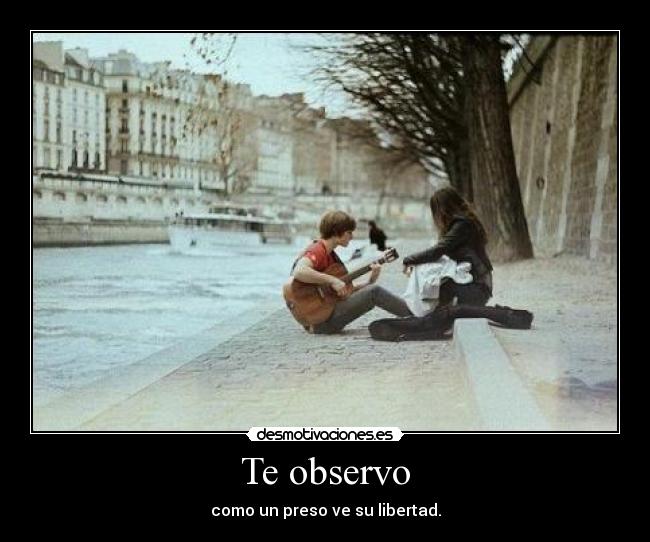 Te observo - como un preso ve su libertad.