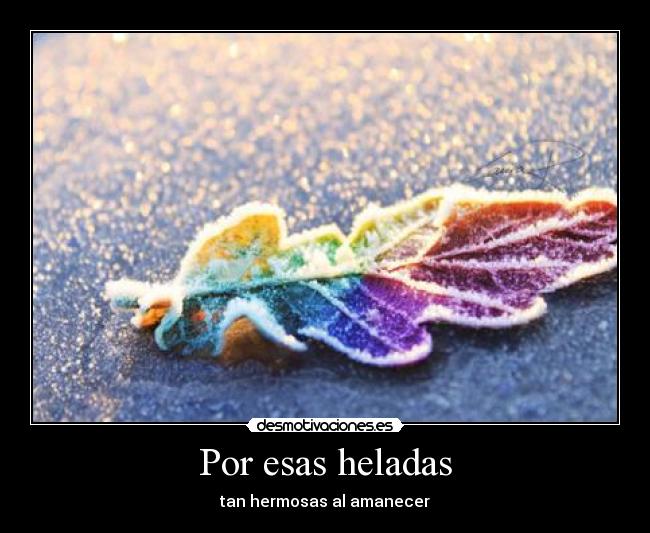 Por esas heladas - tan hermosas al amanecer