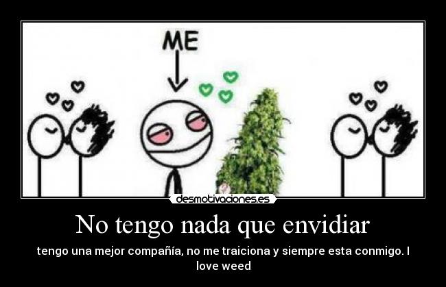 No tengo nada que envidiar - tengo una mejor compañía, no me traiciona y siempre esta conmigo. I love weed