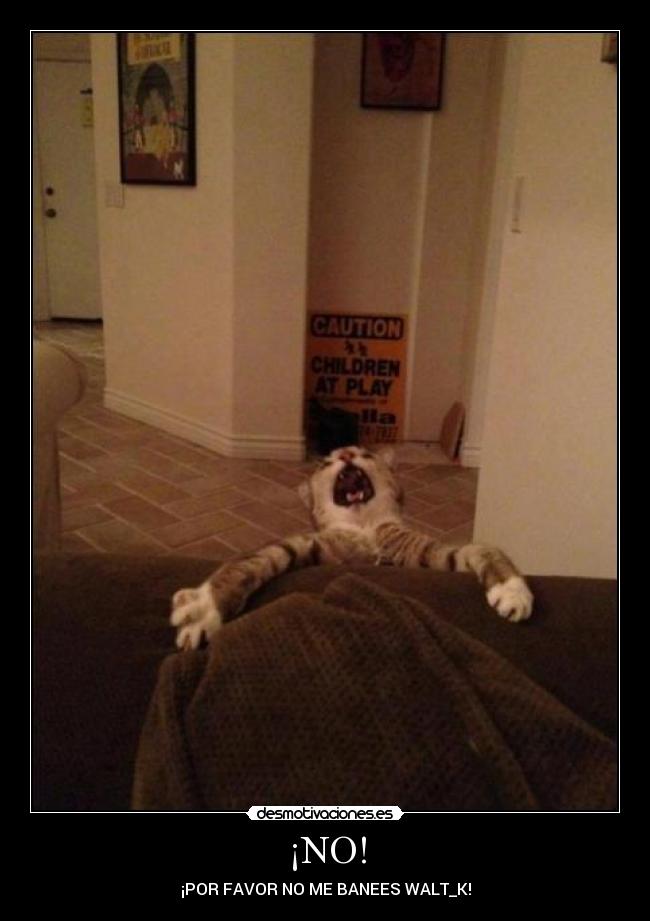 ¡NO! - ¡POR FAVOR NO ME BANEES WALT_K!