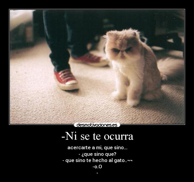 -Ni se te ocurra -