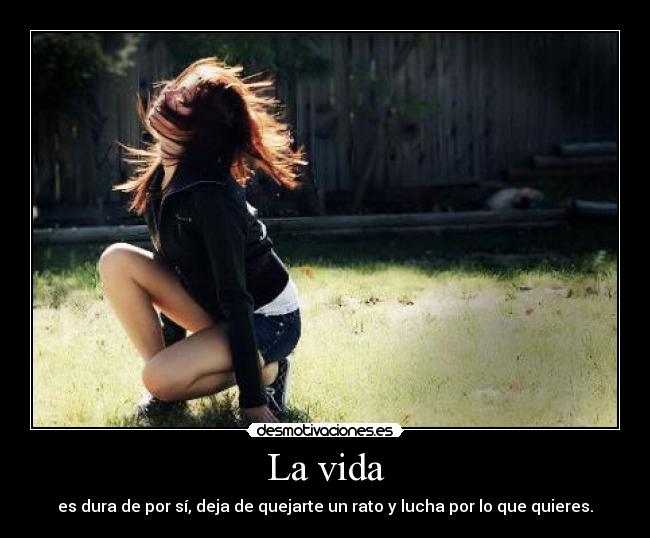 La vida - es dura de por sí, deja de quejarte un rato y lucha por lo que quieres.