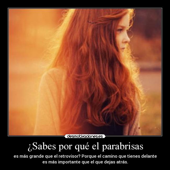 ¿Sabes por qué el parabrisas - 
