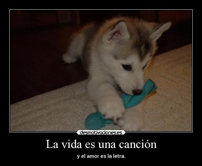 La vida es una canción - y el amor es la letra.