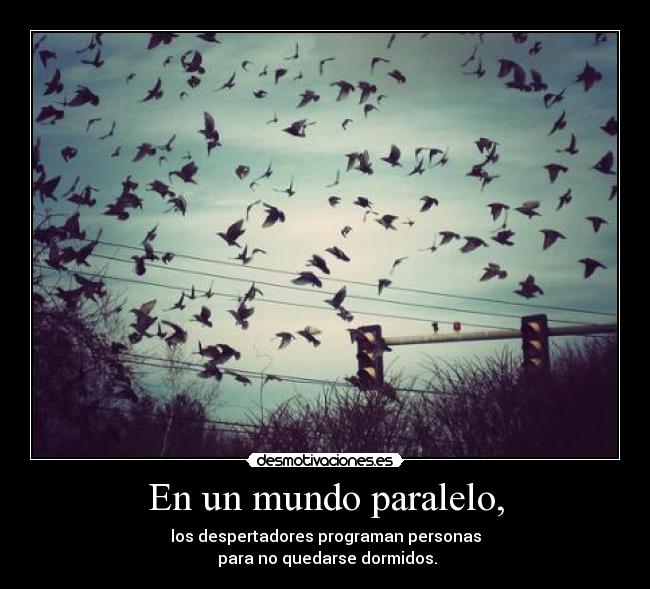En un mundo paralelo, - los despertadores programan personas
 para no quedarse dormidos.