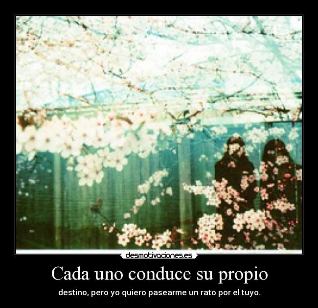 Cada uno conduce su propio - 