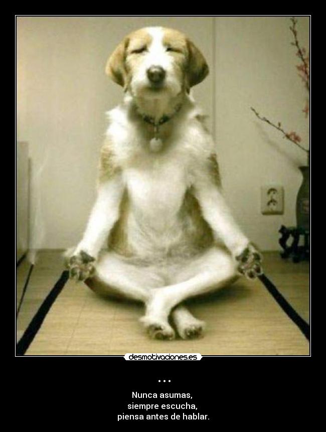... - Nunca asumas, 
siempre escucha, 
piensa antes de hablar.