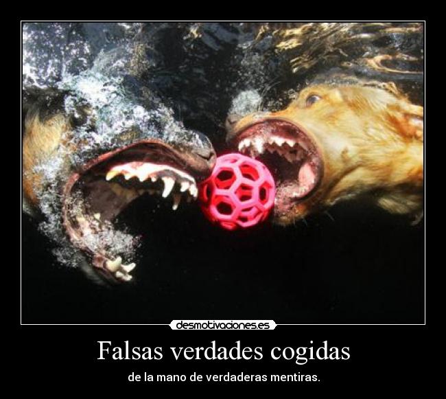 Falsas verdades cogidas - de la mano de verdaderas mentiras.