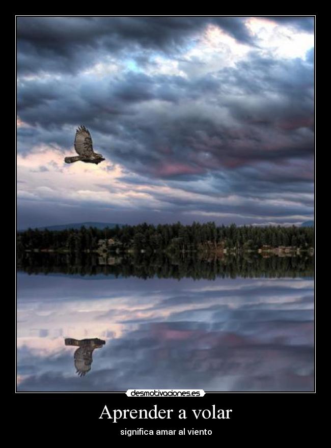 Aprender a volar - 