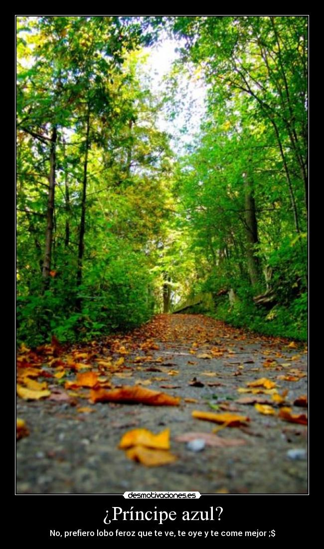 ¿Príncipe azul? - No, prefiero lobo feroz que te ve, te oye y te come mejor ;$
