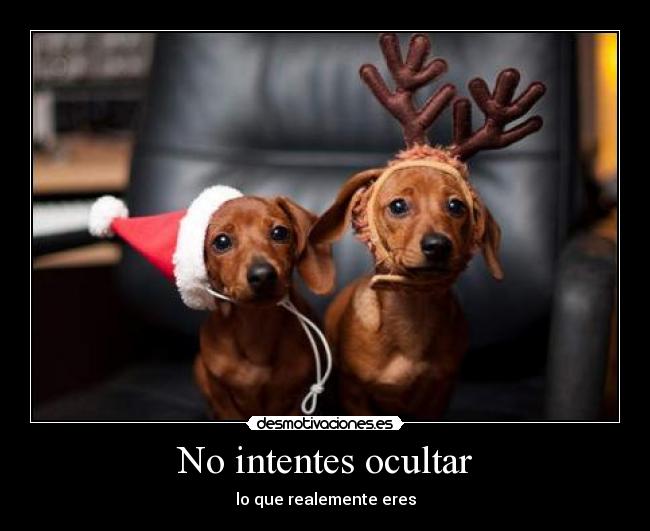 No intentes ocultar - lo que realemente eres