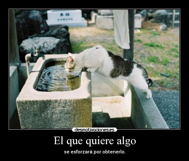 carteles swe desmotivaciones