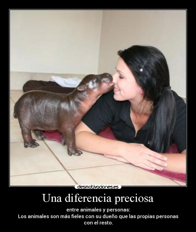 Una diferencia preciosa -