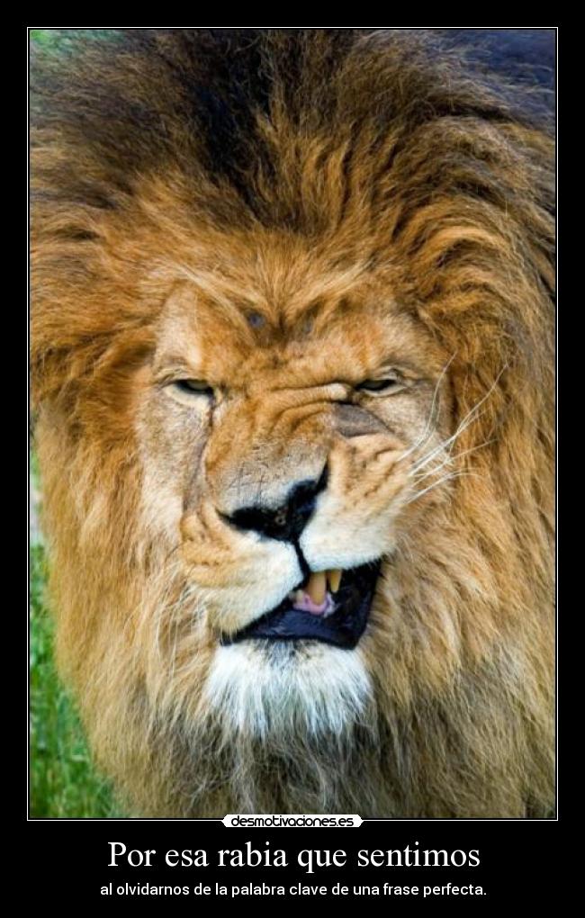 Por esa rabia que sentimos -