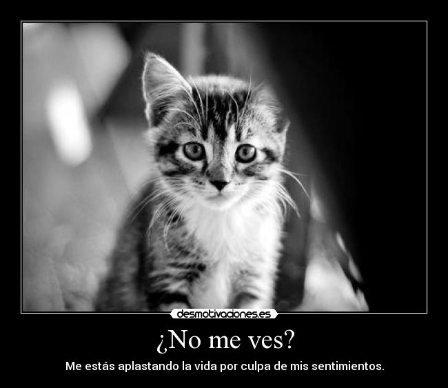 ¿No me ves? - Me estás aplastando la vida por culpa de mis sentimientos.