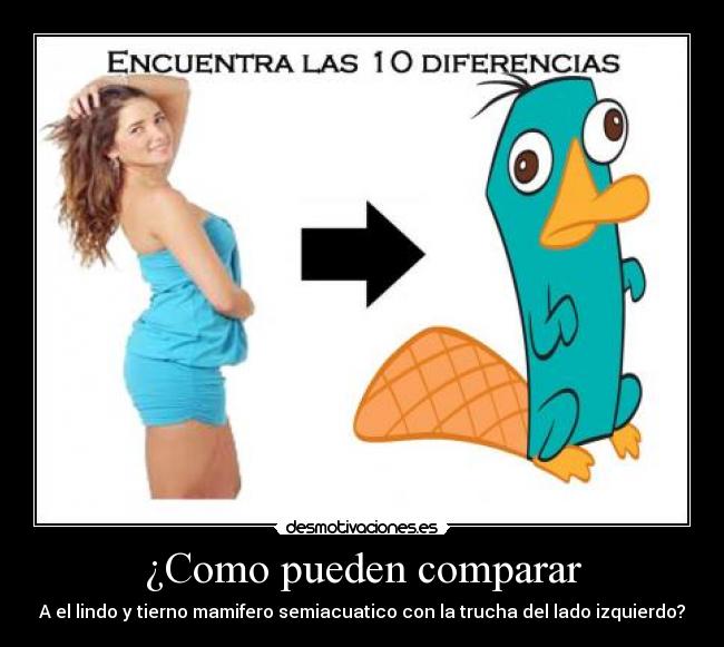 carteles sin ofender desmotivaciones