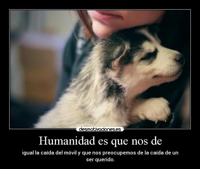 Humanidad es que nos de - igual la caída del móvil y que nos preocupemos de la caída de un ser querido.