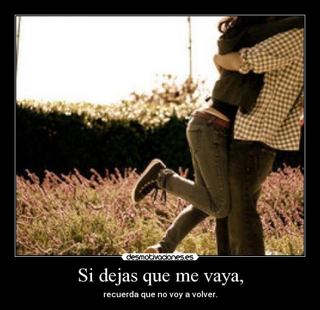 Si dejas que me vaya, - recuerda que no voy a volver.
