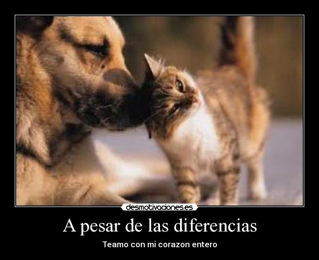 A pesar de las diferencias -