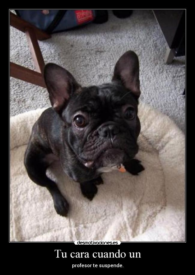 Tu cara cuando un -