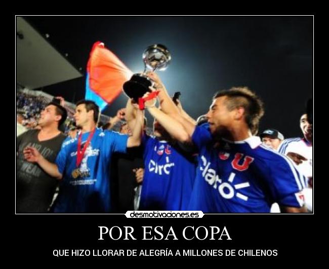 carteles chile desmotivaciones