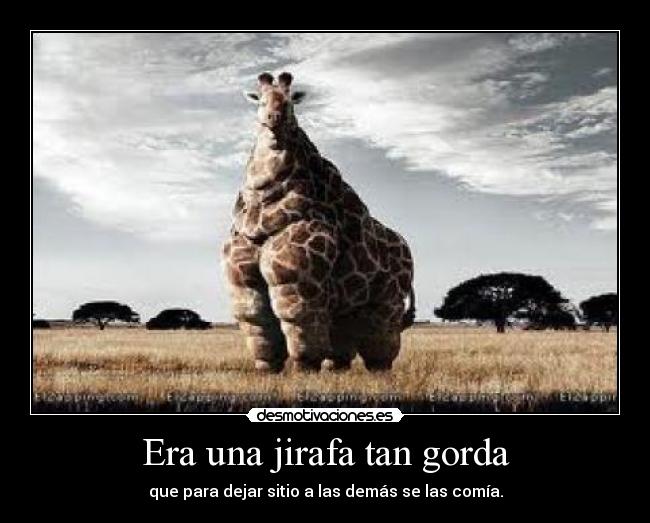 carteles misetiquetassonmias desmotivaciones