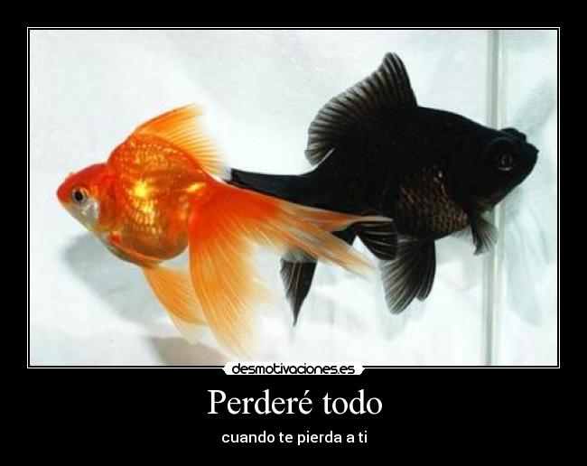 Perderé todo - 