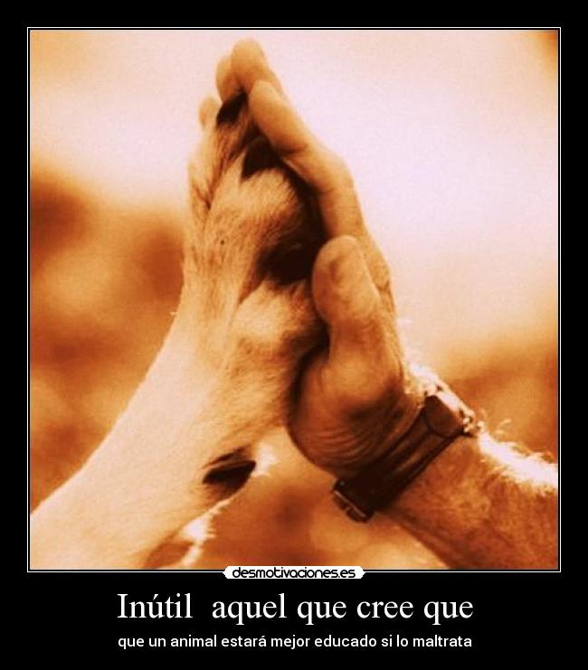Inútil aquel que cree que - que un animal estará mejor educado si lo maltrata