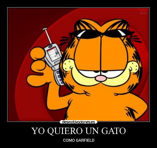 YO QUIERO UN GATO - COMO GARFIELD
