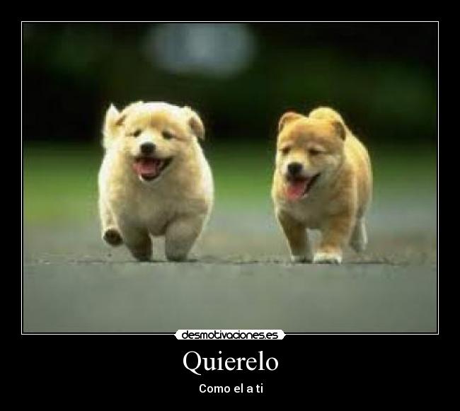 Quierelo -