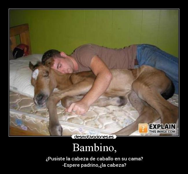 Bambino, -
