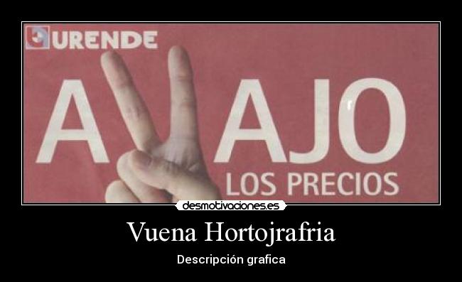 Vuena Hortojrafria - Descripción grafica