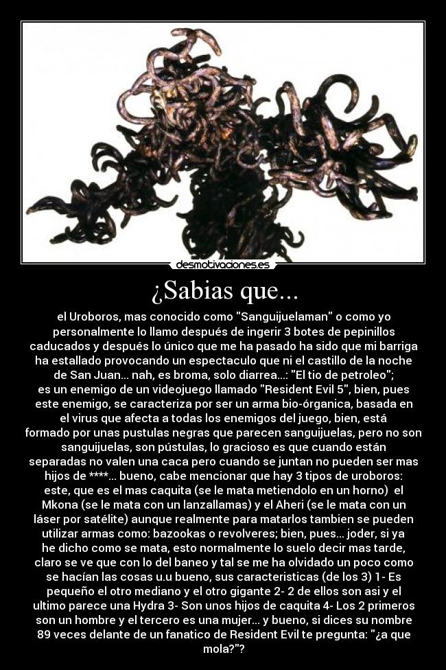 ¿Sabias que... - el Uroboros, mas conocido como Sanguijuelaman o como yo
personalmente lo llamo después de ingerir 3 botes de pepinillos
caducados y después lo único que me ha pasado ha sido que mi barriga
ha estallado provocando un espectaculo que ni el castillo de la noche
de San Juan... nah, es broma, solo diarrea...: El tio de petroleo;
es un enemigo de un videojuego llamado Resident Evil 5, bien, pues
este enemigo, se caracteriza por ser un arma bio-órganica, basada en
el virus que afecta a todas los enemigos del juego, bien, está
formado por unas pustulas negras que parecen sanguijuelas, pero no son
sanguijuelas, son pústulas, lo gracioso es que cuando están
separadas no valen una caca pero cuando se juntan no pueden ser mas
hijos de ****... bueno, cabe mencionar que hay 3 tipos de uroboros:
este, que es el mas caquita (se le mata metiendolo en un horno) el
Mkona (se le mata con un lanzallamas) y el Aheri (se le mata con un
láser por satélite) aunque realmente para matarlos tambien se pueden
utilizar armas como: bazookas o revolveres; bien, pues... joder, si ya
he dicho como se mata, esto normalmente lo suelo decir mas tarde,
claro se ve que con lo del baneo y tal se me ha olvidado un poco como
se hacían las cosas u.u bueno, sus caracteristicas (de los 3) 1- Es
pequeño el otro mediano y el otro gigante 2- 2 de ellos son asi y el
ultimo parece una Hydra 3- Son unos hijos de caquita 4- Los 2 primeros
son un hombre y el tercero es una mujer... y bueno, si dices su nombre
89 veces delante de un fanatico de Resident Evil te pregunta: ¿a que
mola??
