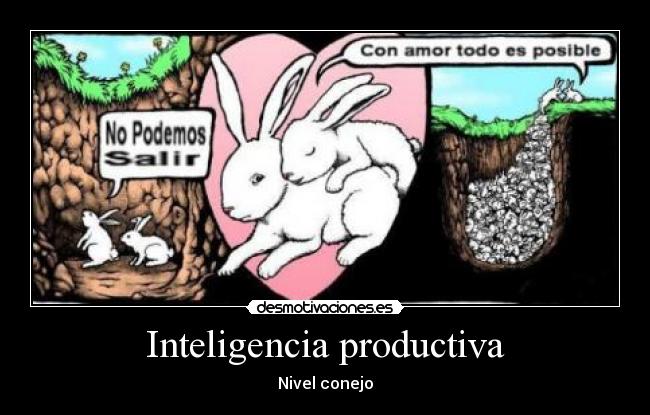 Inteligencia productiva - Nivel conejo