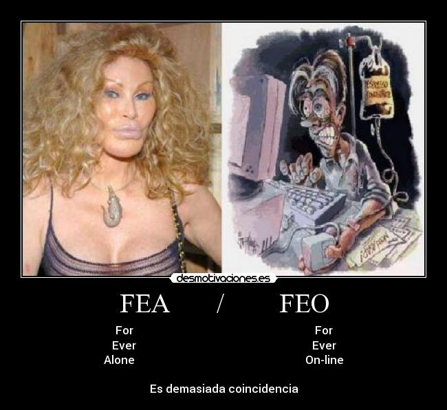FEA / FEO -