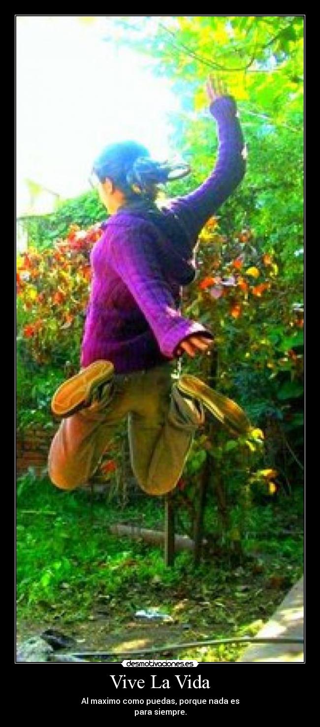 carteles vida vive vida desmotivaciones