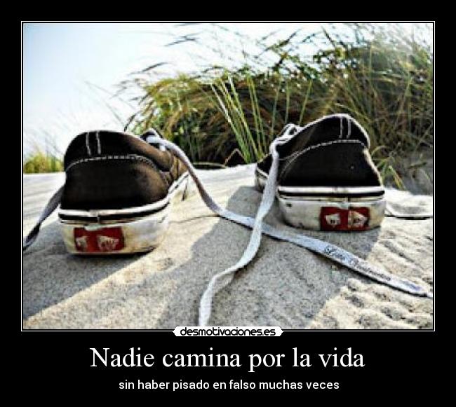 Nadie camina por la vida - 
