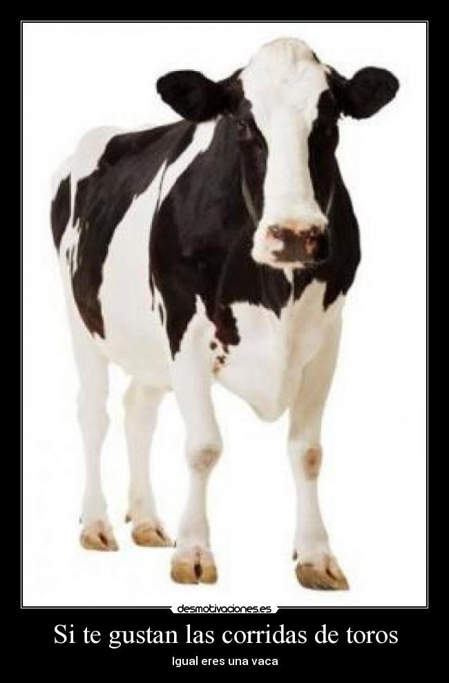 Si te gustan las corridas de toros -