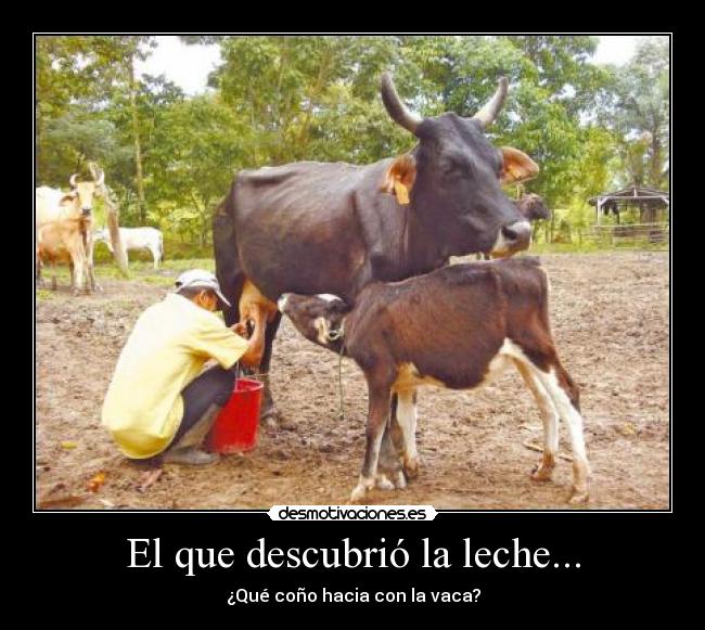El que descubrió la leche... -