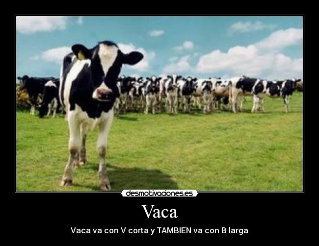 carteles vaca desmotivaciones