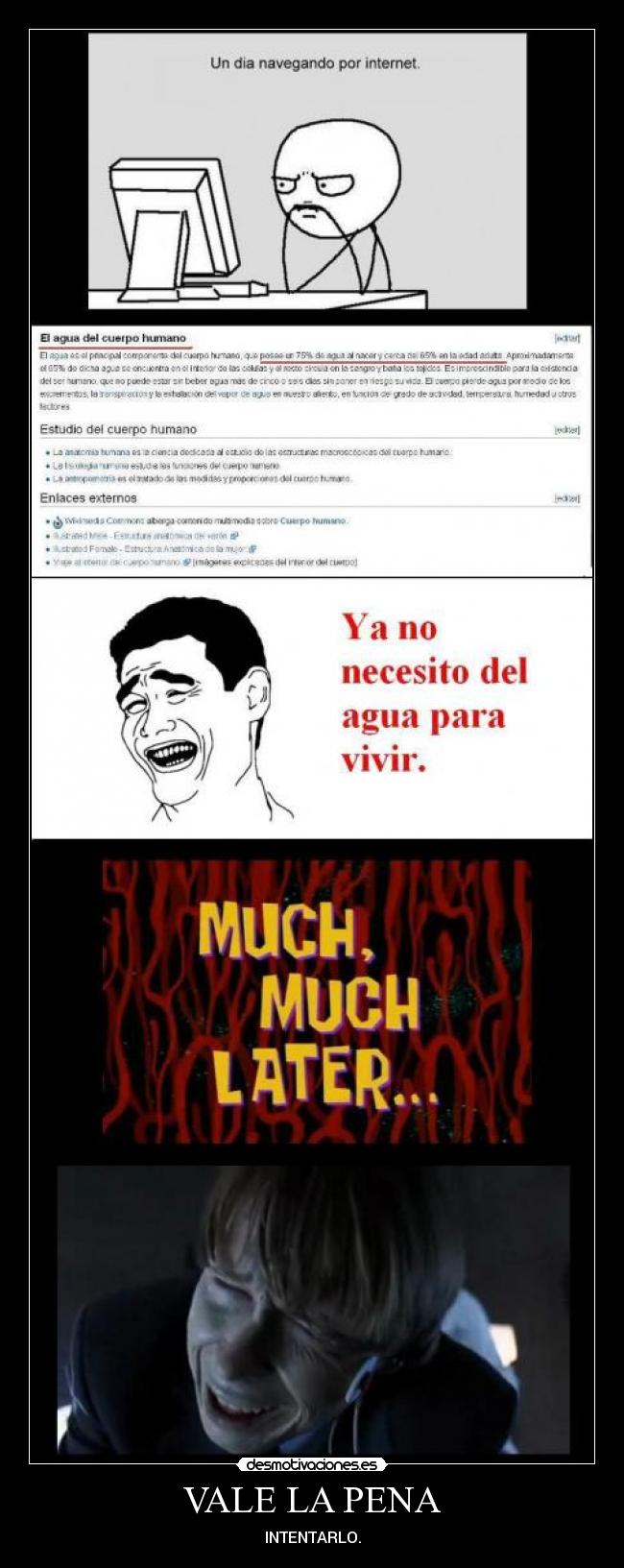 VALE LA PENA - INTENTARLO.