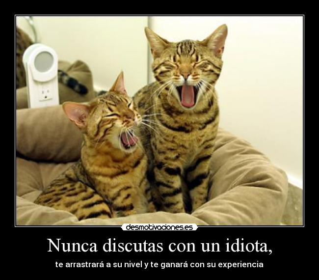 Nunca discutas con un idiota, - 