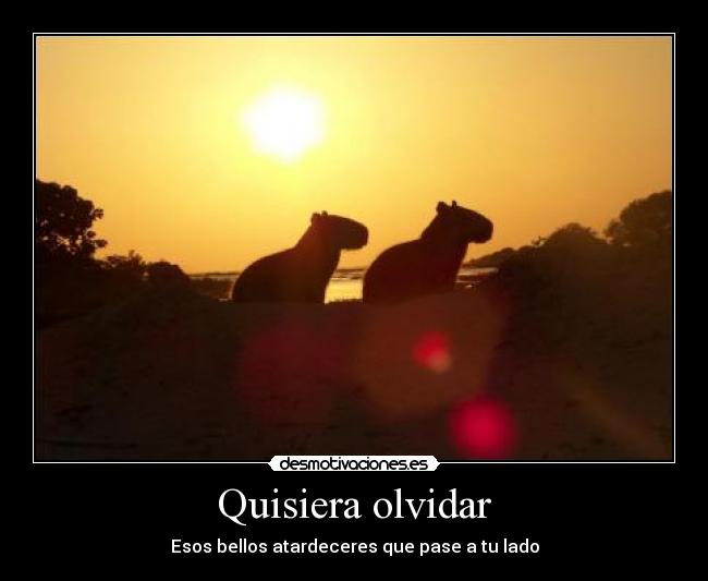 Quisiera olvidar - 