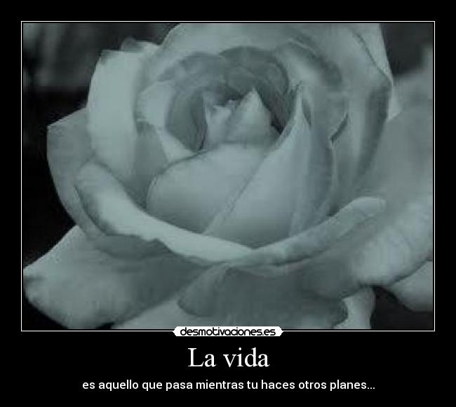 La vida - 